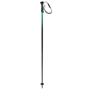GAP Course | Head Frontside Ski Pole