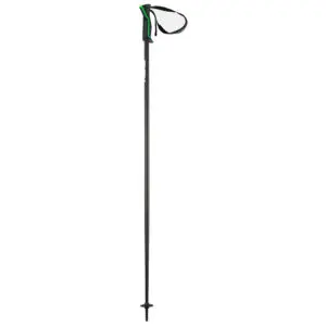 GAP Course | Head Frontside Ski Pole 2026