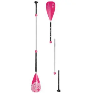 Aztron Bloom 3 Part Paddle