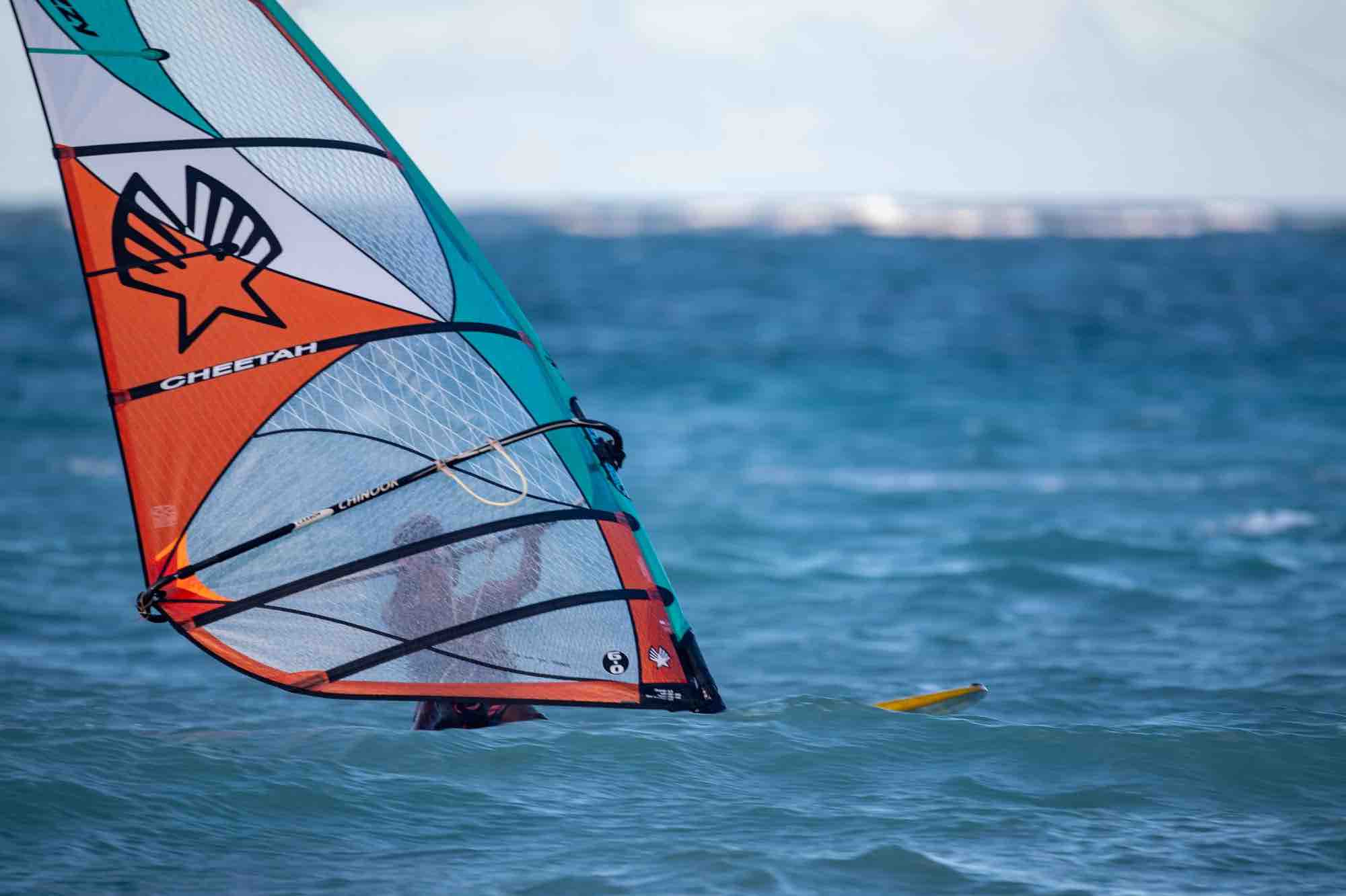 Ezzy Cheetah Windsurfing Sail 2026 - Image 8
